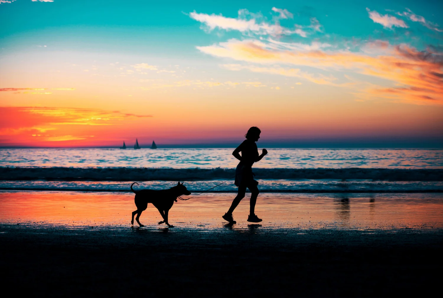 There are plenty of trails in Bulgaria’s national parks and beaches but you may have to keep your dog on a leash throughout.